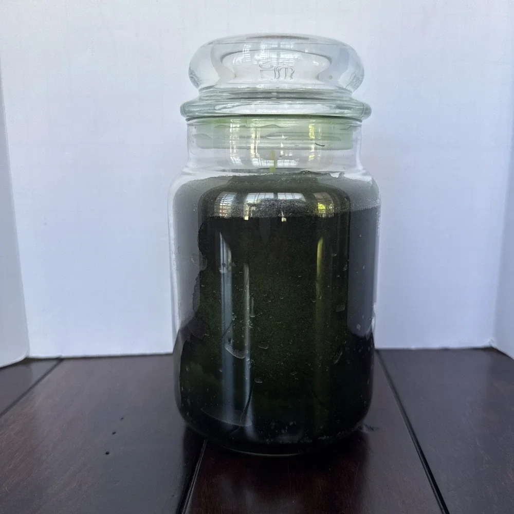 Yankee Candle BALSAM and CEDAR‎ Christmas Winter Holiday Large 22 oz Last One